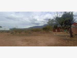 Terreno en venta en San Agustin Yatareni, San Agustín Yatareni — foto 3 de 3