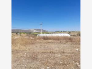Terreno en venta en Tequesquitengo, Jojutla — foto 2 de 3