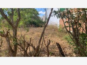 Terreno en venta en Pluma de Oro, Tuxtla Gutiérrez — foto 2 de 6