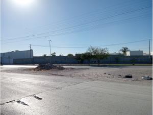 Terreno en renta en La Union, Torreón, Coahuila de Zaragoza Terreno en renta en La Union, Torreón, Coahuila de Zaragoza