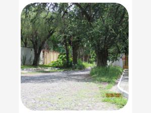 Terreno en venta en San Antonio Tlayacapan, Chapala — foto 2 de 15