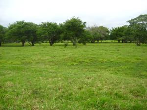 Finca-Rancho en venta en Dos Montes, Centro — foto 2 de 6