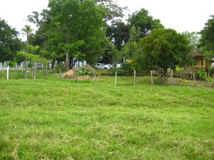 Finca-Rancho en venta en Dos Montes, Centro — foto 3 de 6