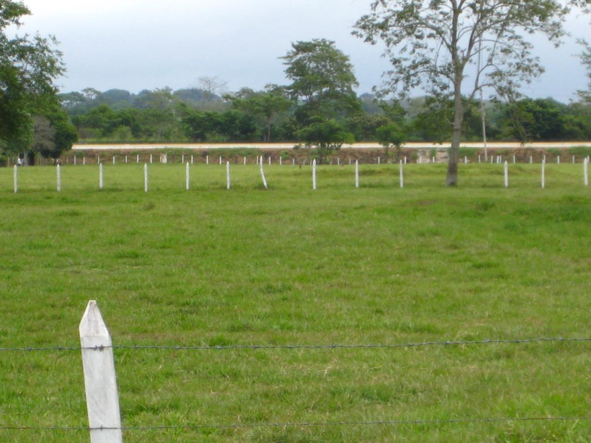 Finca-Rancho en venta en Dos Montes, Centro — foto 1 de 6