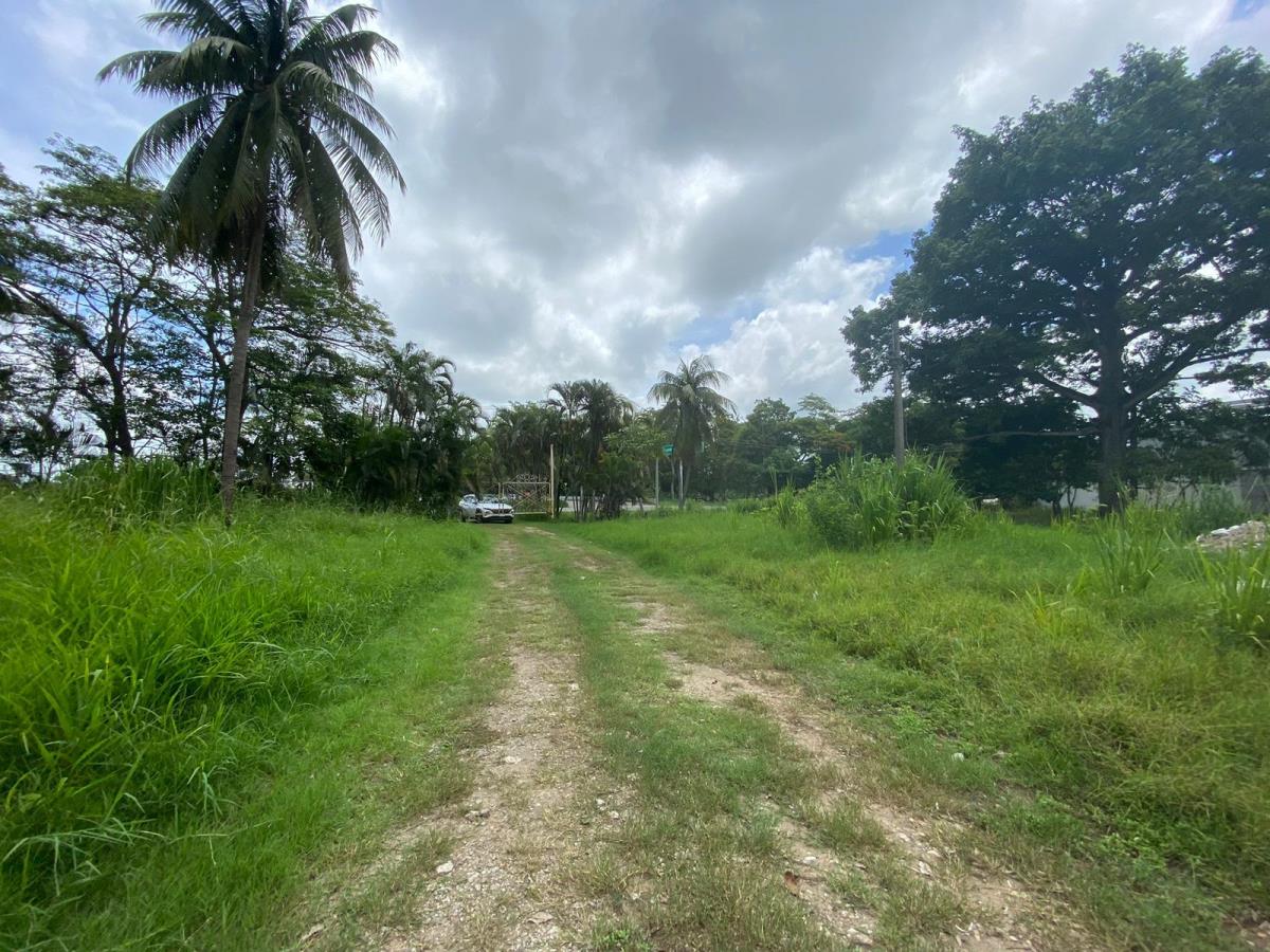 Terreno en renta en Plutarco Elías Calles (La Majahua), Centro — foto 1 de 11