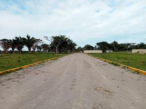 Terreno en venta en La Bocana (Dos Bocas), Medellín de Bravo — foto 3 de 13