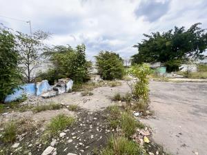 Terreno en renta en Miguel Hidalgo, Centro — foto 2 de 14