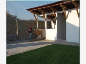 Terreno en venta en Campo San Rafael, Xochitepec — foto 3 de 10