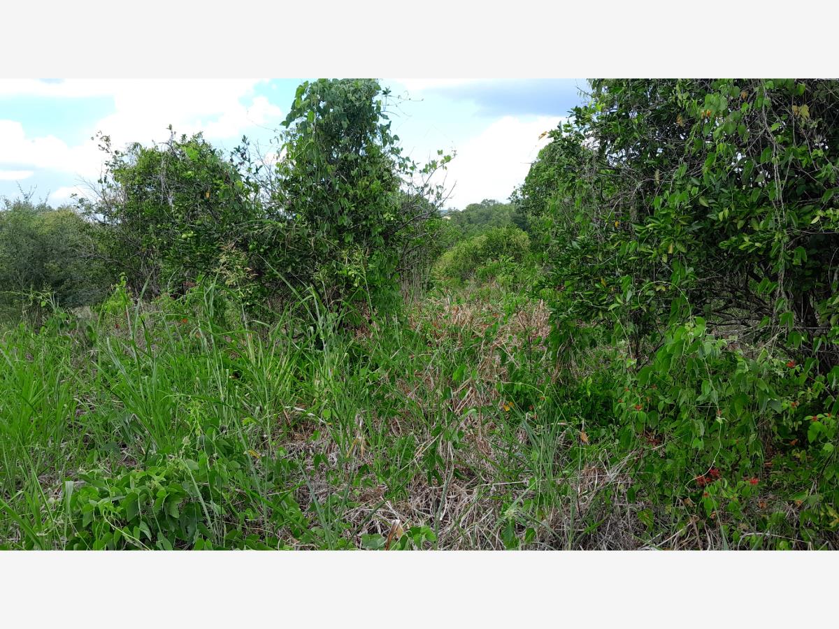 Terreno en venta en Emiliano Zapata (la Bomba), Tihuatlán — foto 1 de 4
