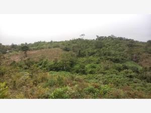 Terreno en venta en Emiliano Zapata (la Bomba), Tihuatlán — foto 3 de 4