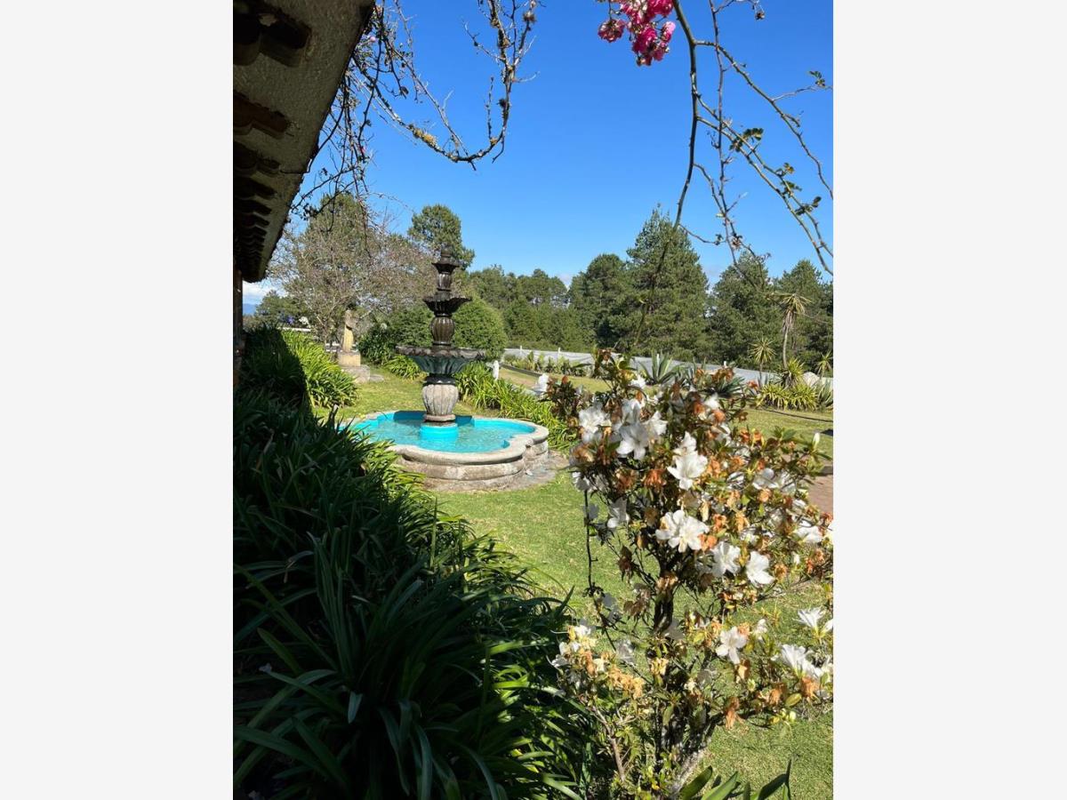 Finca-Rancho en venta en Acaxochitlan Centro, Acaxochitlán — foto 1 de 29