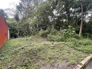 Terreno en venta en Orquídeas, Coatepec — foto 2 de 5