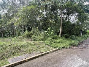 Terreno en venta en Orquídeas, Coatepec — foto 3 de 5