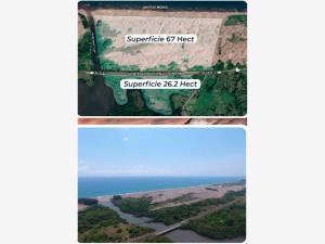 Terreno en venta en Palma Sola, Alto Lucero de Gutiérrez Barrios — foto 2 de 7