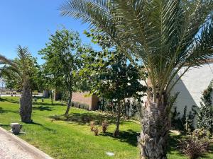 Terreno en venta en La Cava, Gómez Palacio — foto 3 de 14
