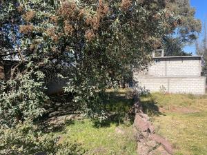 Terreno en venta en Las Américas, Amealco de Bonfil — foto 2 de 25