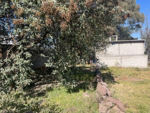 Terreno en venta en Las Américas, Amealco de Bonfil — foto 3 de 25