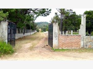 Terreno en venta en El Porvenir, Teopisca — foto 2 de 7