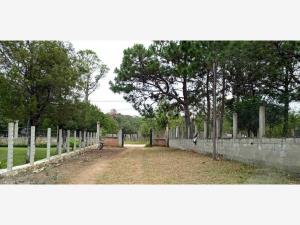 Terreno en venta en El Porvenir, Teopisca — foto 3 de 7