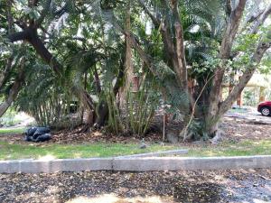 Terreno en venta en El Aguaje, Emiliano Zapata — foto 2 de 9