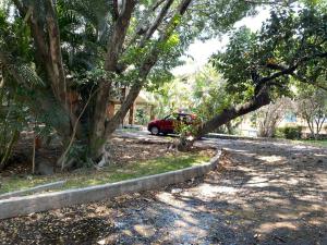 Terreno en venta en El Aguaje, Emiliano Zapata — foto 3 de 9