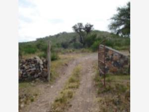 Terreno en venta en San Cristobal (El Colorado), El Marqués, Querétaro Terreno en venta en San Cristobal (El Colorado), El Marqués, Querétaro