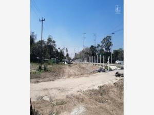 Terreno en venta en Plátano y Cacao 2da. Sección (La Isla), Centro — foto 2 de 3