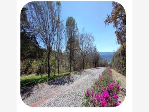 Terreno en venta en San Gaspar, Valle de Bravo — foto 2 de 14