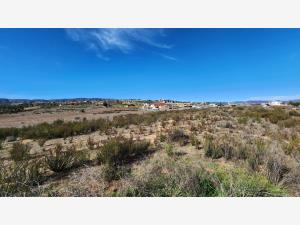 Terreno en venta en Francisco Zarco (Valle de Guadalupe), Ensenada — foto 2 de 20
