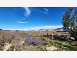 Terreno en venta en Francisco Zarco (Valle de Guadalupe), Ensenada — foto 3 de 20