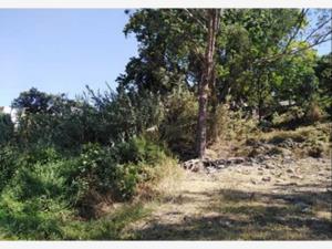 Terreno en venta en La Peña, Valle de Bravo — foto 2 de 8