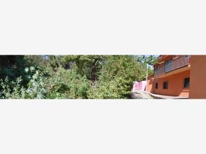 Casa en venta en Etzatlan Centro, Etzatlán — foto 2 de 5