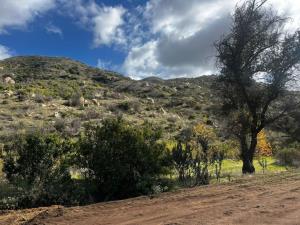 Terreno en venta en Francisco Zarco (Valle de Guadalupe), Ensenada — foto 2 de 11