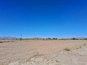 Terreno en venta en Placido Domingo, Lerdo — foto 3 de 6