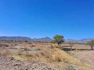 Terreno en venta en Placido Domingo, Lerdo — foto 2 de 6