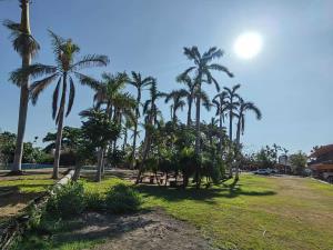 Terreno en venta en Parque Ecologico de Viveristas, Acapulco de Juárez — foto 3 de 9