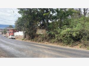 Terreno en venta en Zirahuén, Salvador Escalante — foto 2 de 4