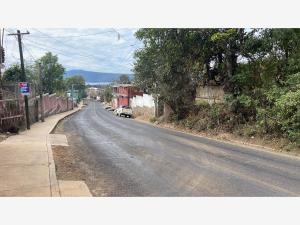 Terreno en venta en Zirahuén, Salvador Escalante — foto 3 de 4