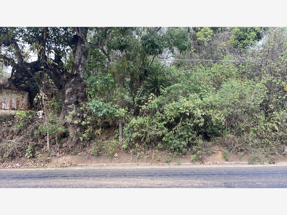Terreno en venta en Zirahuén, Salvador Escalante — foto 1 de 4