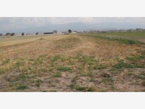 Terreno en venta en San Joaquin Coapango, Texcoco — foto 2 de 13