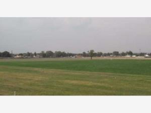 Terreno en venta en San Joaquin Coapango, Texcoco — foto 3 de 13