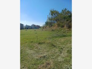 Terreno en venta en Colinas de Santa Anita, Tlajomulco de Zúñiga — foto 2 de 32