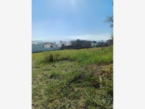 Terreno en venta en Colinas de Santa Anita, Tlajomulco de Zúñiga — foto 3 de 32