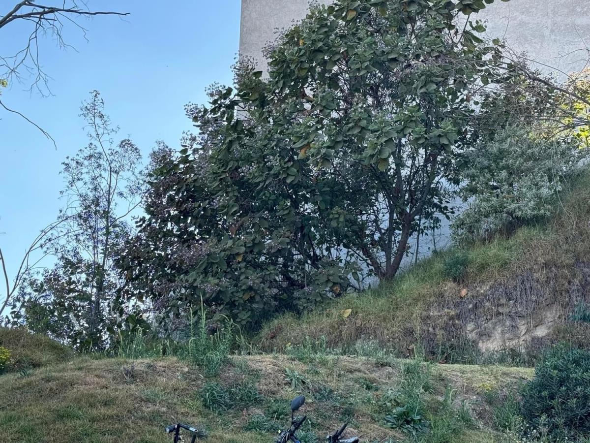 Terreno en venta en Residencial Lago Esmeralda, Atizapán de Zaragoza — foto 1 de 11