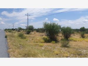 Terreno en venta en Papagayos, Doctor González — foto 2 de 5
