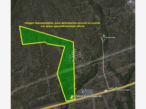 Terreno en venta en Papagayos, Doctor González — foto 3 de 5