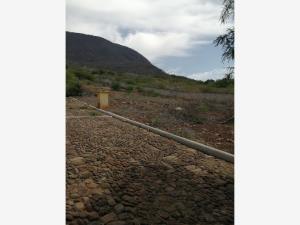 Terreno en venta en Jocotepec Centro, Jocotepec — foto 2 de 11