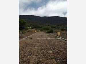 Terreno en venta en Jocotepec Centro, Jocotepec — foto 3 de 11