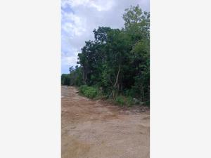 Terreno en venta en Supermanzana 312, Benito Juárez — foto 3 de 3
