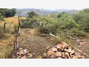 Terreno en venta en Ejidal, Autlán de Navarro — foto 2 de 4